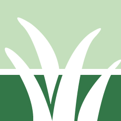 Japanese Knotweed Treatment Service Pros