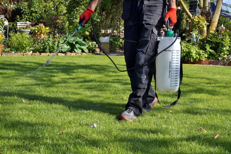 Professional Lawn Care Expert